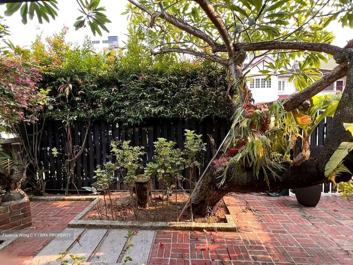 Kimsia Park (D9), Terrace #624935341